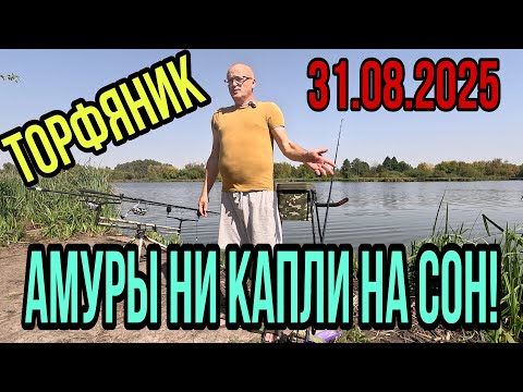 Видео: НОЧНЫЕ АМУРЫ!! РИБАЛКА В КОЛИСНИКОВЕ!!!