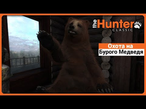 Видео: Охота на Бурого Медведя в theHunter Classic !