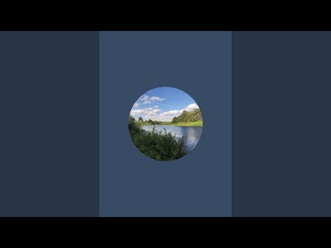 Видео: Вечерние посиделки на природе.