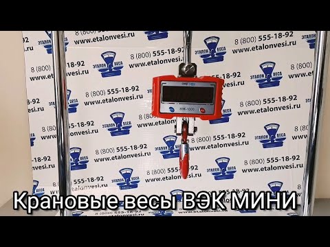 Видео: Крановые весы ВЭК МИНИ