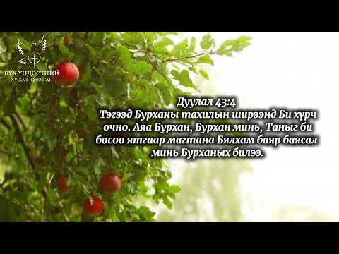Видео: “БУРХАНААС ИРЭХ БАЯР ХӨӨР”: номлол……