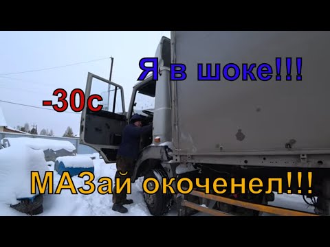 Видео: Мороз -30с, МАЗ ОКОЧЕНЕЛ!!!САМ В ШОКЕ!!!