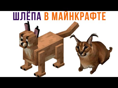 Видео: ШЛЁПА В МАЙНКРАФТЕ))) Приколы из Майнкрафт | Мемозг 898