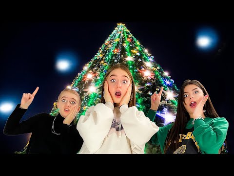 Видео: НОВОГО ГОДА НЕ БУДЕТ? ПОТЕРЯЛИ ЕЛКУ!