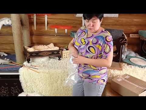 Видео: Игровое пространство кошки, Кира Ковалева