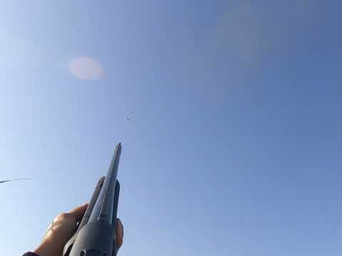 Видео: Үйрекке аңшылық, Қаракөл !