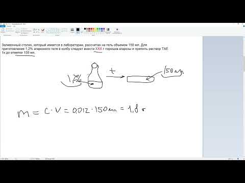 Видео: MB5. Как решать задачи на электрофорез ДНК