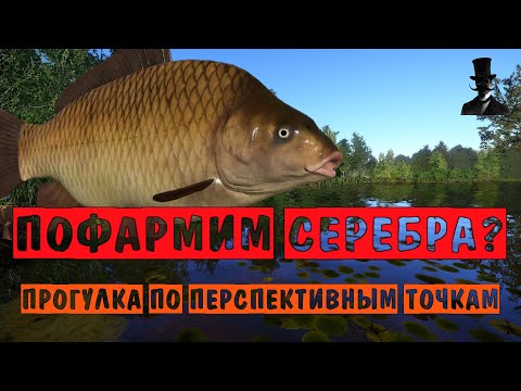 Видео: Пофармим серебра?. Прогулка по перспективным точкам. Русская Рыбалка 4.