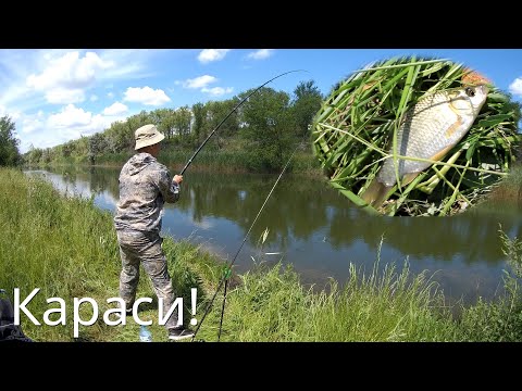 Видео: Рыбалка в Самаре. Караси. Куйбышевский обводнительно-оросительный канал.