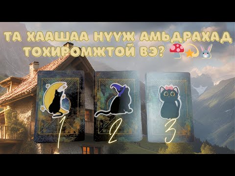 Видео: Та хаашаа нүүхэд, хаана амьдрахад тохиромжтой вэ? | Тарот мэргэ