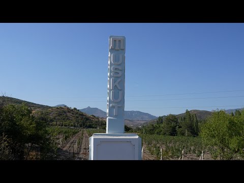 Видео: Десятки ускутцев собрались на встречу односельчан