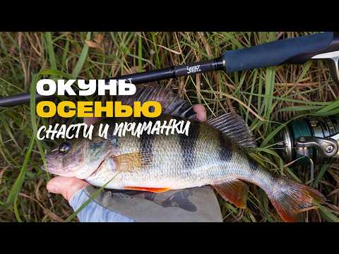 Видео: Разные Приманки и Снасти на Окуня На Что Ловить Осенью на Спиннинг