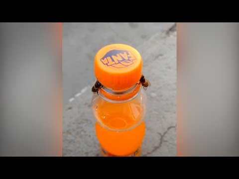 Видео: ПЧЁЛЫ СИЛАЧИ, и ДРУГИЕ удивительные случаи с животными, снятые на камеру!