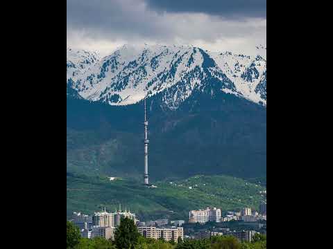 Видео: Тикток инстаграм хит әндер #trendingsong қазақша хит әндер #tiktok #instagram