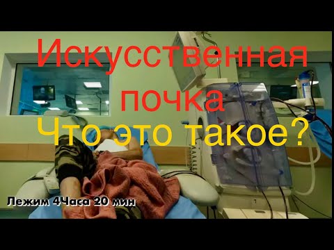 Видео: Как прошел Диализ? Опять в Гости