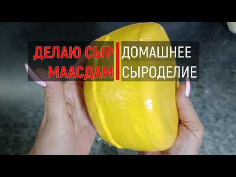 Видео: Мой первый СЫР МААСДАМ *  Как приготовить в домашних условиях/ Home Maasdam