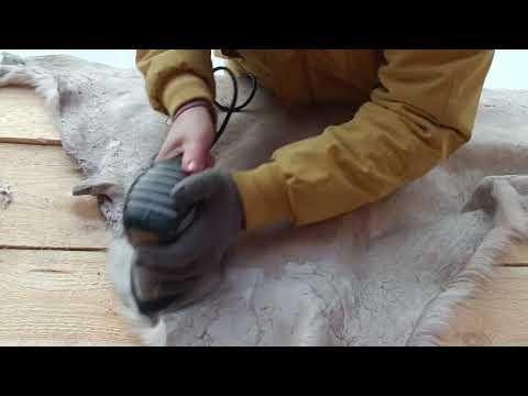 Видео: Выделка шкуры козы в домашних условиях.