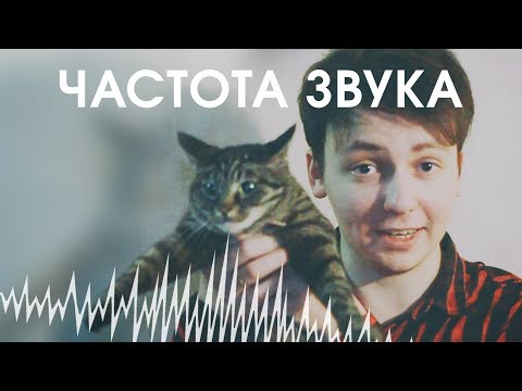 Видео: Что такое ЧАСТОТА звука и почему она важна?