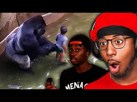 Видео: Харамбе ДОЛЖЕН был умереть… Но не по тем причинам, о которых вы думаете 😳