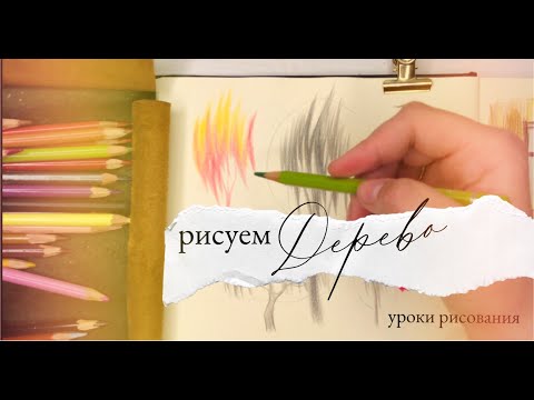 Видео: Рисуем стилизованное дерево