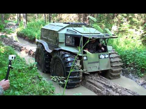 Видео: Лесник М Север с Шерпом на прогулке