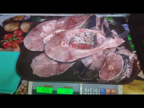 Видео: Толстолоб❗ 8.400кг На селёдку❗