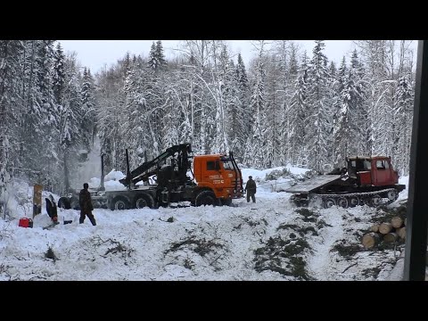 Видео: Урал наказал Камазы. Опять еле выехали... п.Мутиха. Писанный Камень.