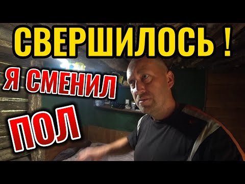 Видео: Зеленая катастрофа. Беседка преображается. Будка для Карлоса