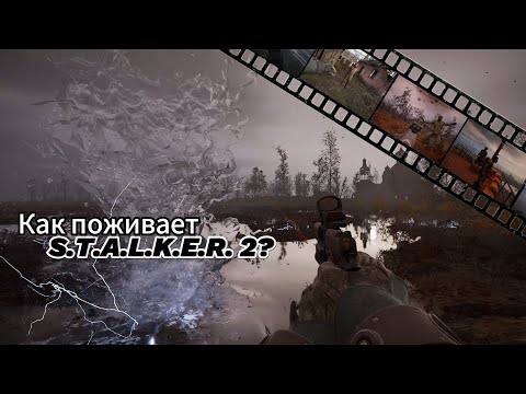 Видео: КОГДА ВОЗВРАЩАТЬСЯ В СТАЛКЕР 2?