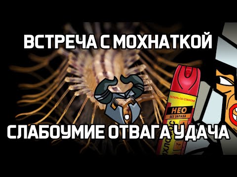 Видео: ВСТРЕЧА С МОХНАТКОЙ САМЫЙ НЕОБЫКНОВЕННЫЙ СОСТАВ В ХРАБРОЗЕМЬЕ BRAVELAND