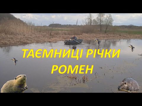 Видео: Сплав річкою Ромен. Дмитрівка - Рябухи - Красний Колядин - Грицівка.