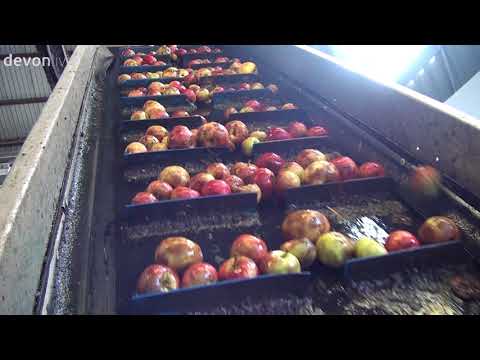 Видео: Sandford Orchards производит сидр в Девоне