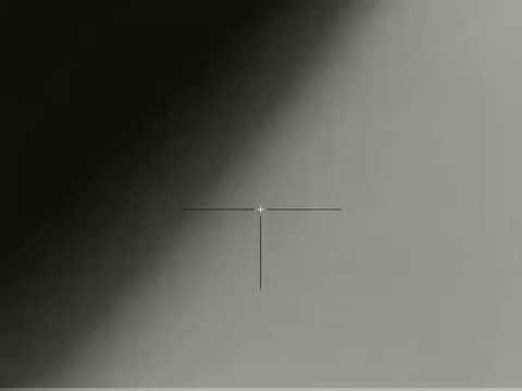 Видео: Охота на кабана с вышки