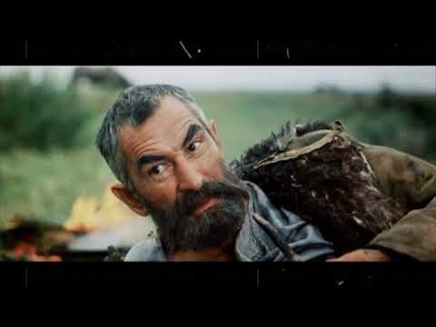 Видео: Мулаев h 264
