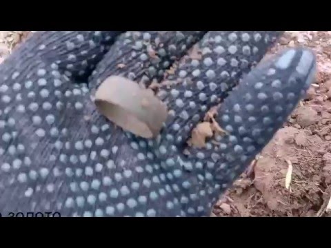 Видео: Золотой коп 2016.Как я нашел первое ЗОЛОТО!!!УДАЧА!!!SOREX PRO