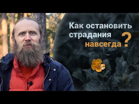 Видео: Как остановить страдания навсегда? Причины страданий в личной жизни и в мире