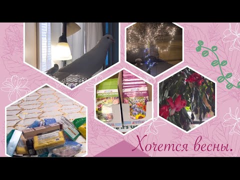 Видео: VLOG #4. Собираю детей в зимний лагерь. Эвелине не повезло. Вот так стресс! Такого снегопада…