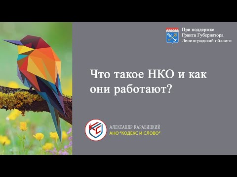 Видео: Выпуск 1. Что такое НКО и как они работают?