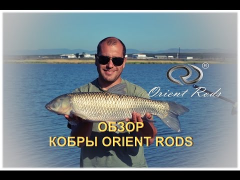 Видео: CARPFISHING: "КОБРЫ ORIENT RODS" (ОБЗОР)