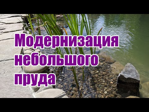 Видео: Модернизация небольшого пруда