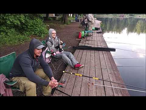 Видео: Обзор с нижнего водоёма!Клёвое место "Лосиный остров".