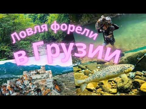 Видео: Рыболовное путешествие в Грузию или в поисках ручьевой форели.