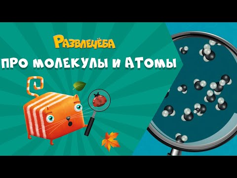 Видео: Развлечёба. Окружающий мир. Про молекулы и атомы