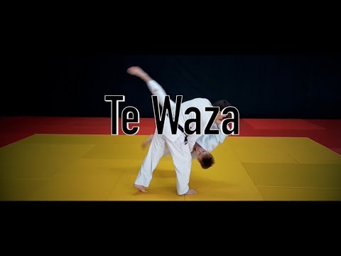 Видео: Te Waza / Техники, выполняемые с использованием рук