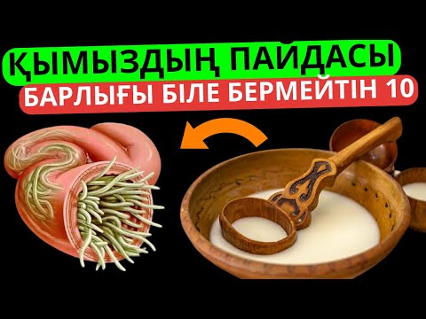 Видео: Қымыздың барлық адам біле бермейтін 10 пайдасы