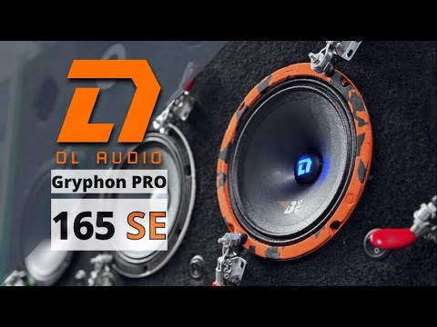 Видео: DL Audio Gryphon PRO 165 SE / Обзор и прослушка