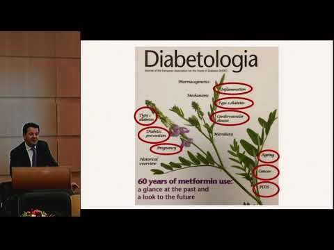Видео: Фадеев В.В. Место метформина в современной стратегии лечения сахарного диабета | Метформин сахарный