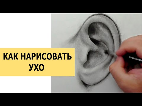 Видео: КАК НАРИСОВАТЬ УХО? СУХАЯ КИСТЬ