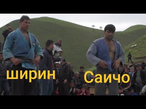 Видео: Саичо дар мишкорон чанг кард барои шочоиза