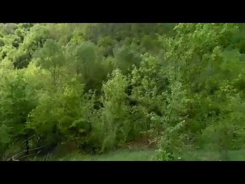 Видео: Загнитков вживую ч 16 яр и старый загнитков